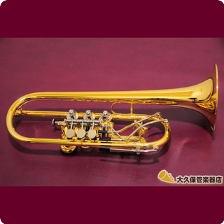 Votruba C Gp C Tube Rotary Trumpet 2010