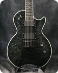 Epiphone 2009 Les Paul Custom Prophecy 2009