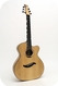 Stoll Guitars-Evidence-2023-Tamarind