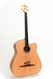 Stoll Guitars-The Legendary Acoustic Bass-Maple