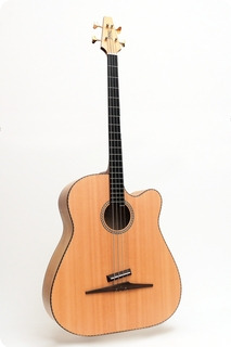 Stoll Guitars The Legendary Acoustic Bass Maple