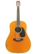 C. F. Martin & Co -  D-12 35 1967