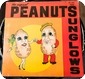 The Sunglows-The Original Peanuts- Siesta Records ‎– S-101-1976