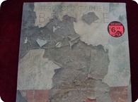 Terraced Garden Braille Melody And Menace Records CT 1958 1984