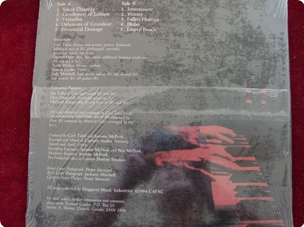 Terraced Garden Braille Melody And Menace Records ‎– Ct 1958 1984