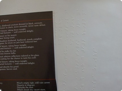 Terraced Garden Braille Melody And Menace Records ‎– Ct 1958 1984