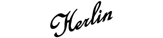 J Herlin Guitars