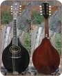 Players Vintage Instruments | 3