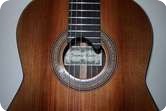 The Classical Guitar | 2