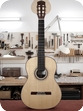 Waltner Guitars | 2