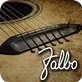 Falbo Guitars