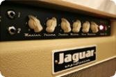 Jaguar Amplification | 1