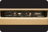 Jaguar Amplification | 3