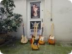 Blues Guitars France | 1