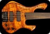 Skjold Design Guitars | 1