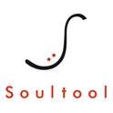 Soultool customized Guitars